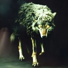 Set It Off — Wolf In Sheep's Clothing [Reborn] — обложка
